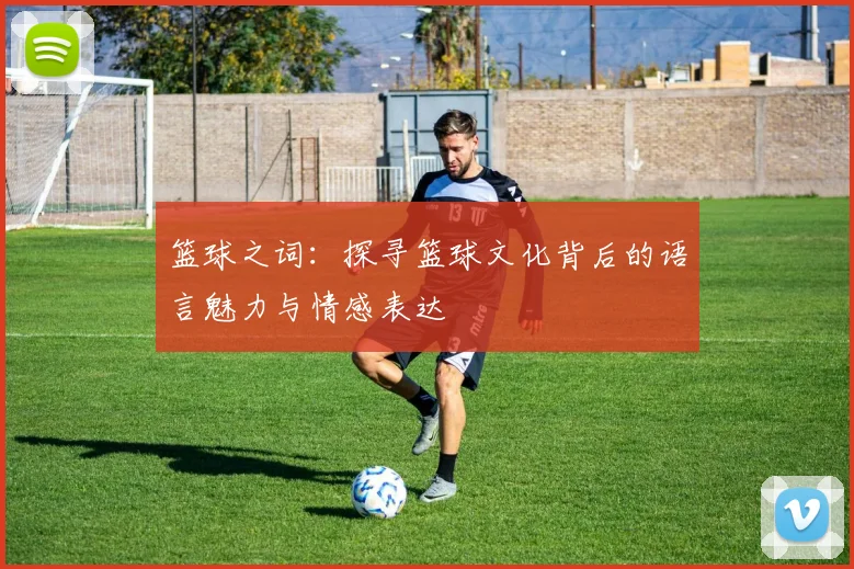 篮球之词：探寻篮球文化背后的语言魅力与情感表达