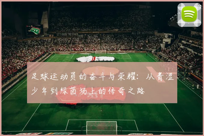 足球运动员的奋斗与荣耀：从青涩少年到绿茵场上的传奇之路