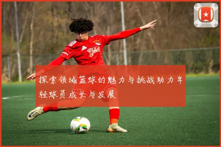 探索领域篮球的魅力与挑战助力年轻球员成长与发展