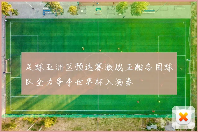足球亚洲区预选赛激战正酣各国球队全力争夺世界杯入场券
