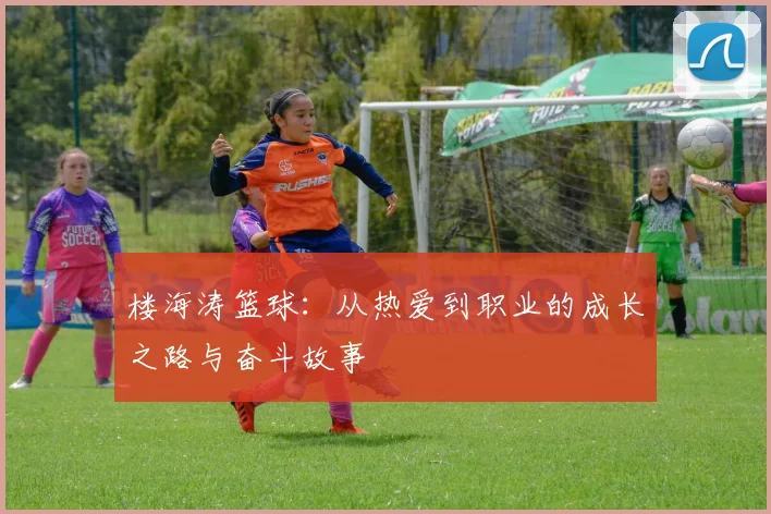 楼海涛篮球：从热爱到职业的成长之路与奋斗故事