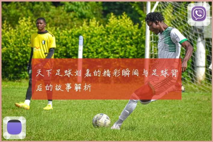 天下足球刘嘉的精彩瞬间与足球背后的故事解析