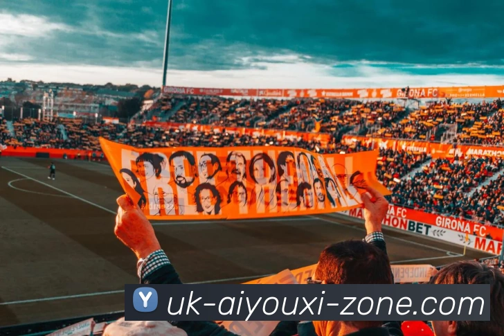 AYXSPORT发展历程